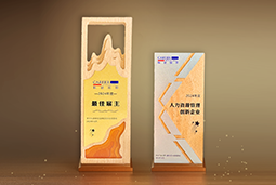 Ezpay(中国)国际一举斩获“2024年度中国区最佳雇主”等多项大奖